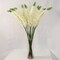 Set of 2 Cream Silk Foxtail Sprays 47" for Floral Arrangements, Centerpieces, and Home Decor - Lifelike Artificial Foliage by Floral Home by Artificial Flowers